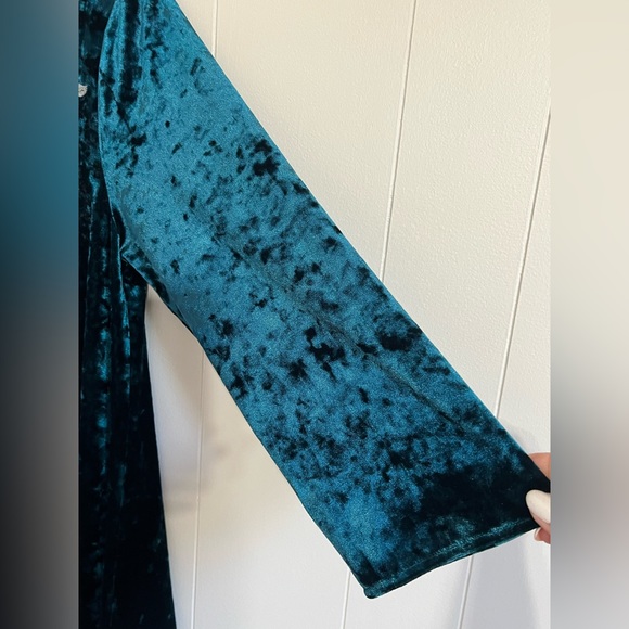 Andree by Unit Crushed Velvet Embroidered Top - Picture 4 of 8